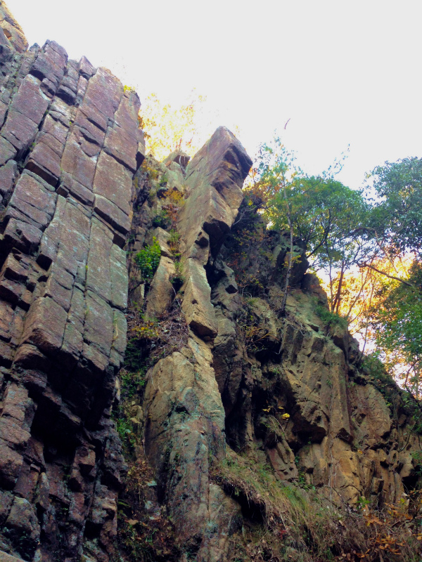 2013/12 /04 Mountain Running in Nigawa 仁川_b0220886_11542193.jpg