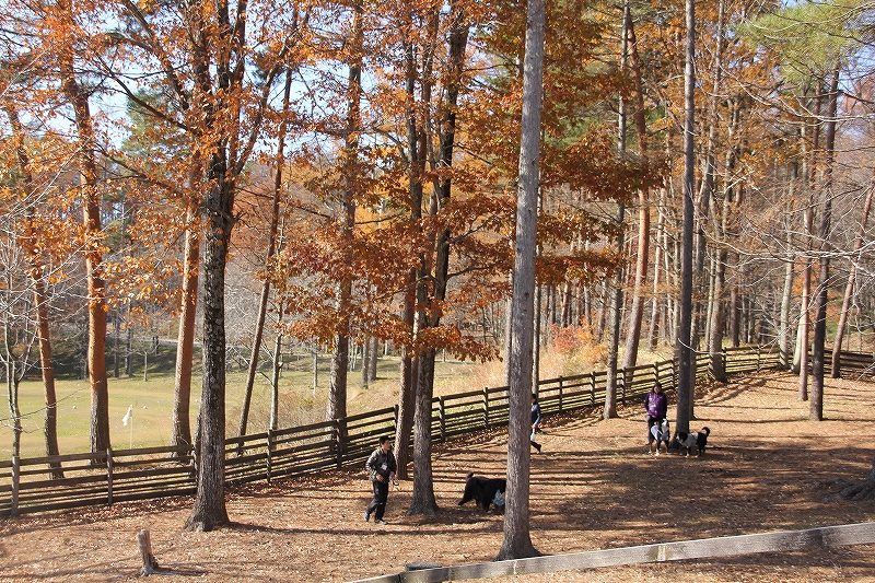 b0135889_01570193.jpg