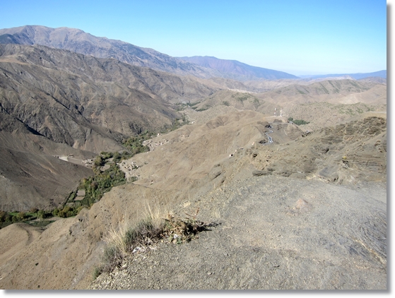 e0164690_2234404.jpg