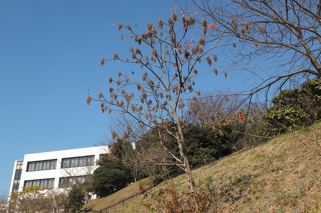 e0070891_18513725.jpg