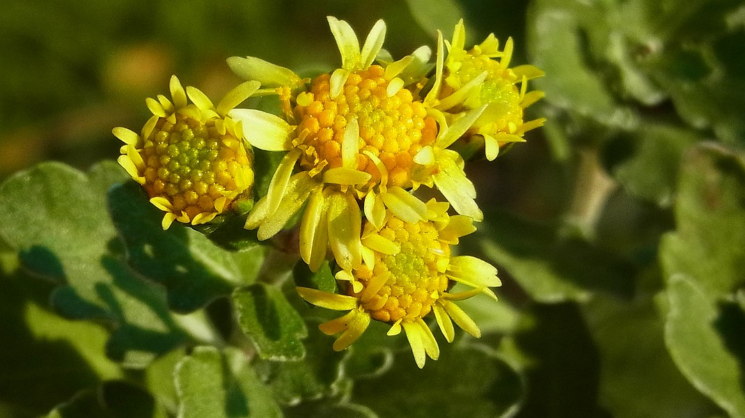 a0152692_17344979.jpg