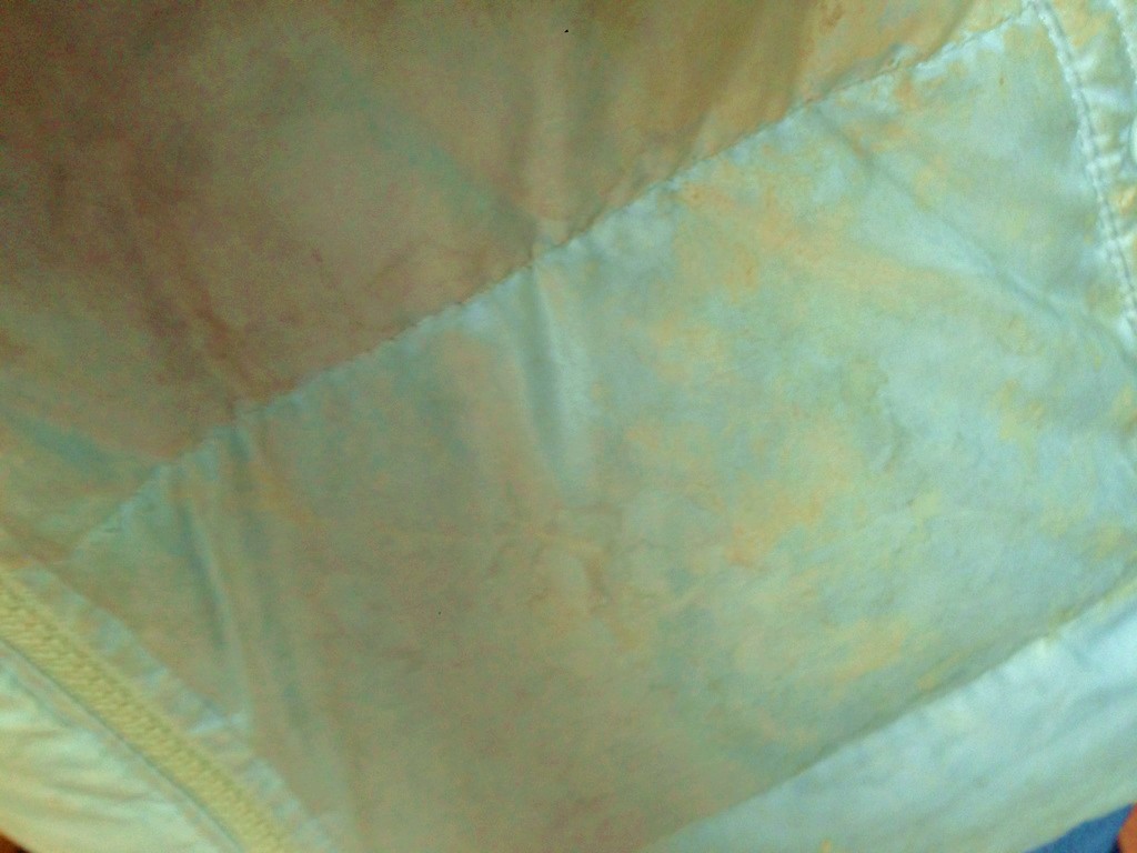 a0176294_23112918.jpg