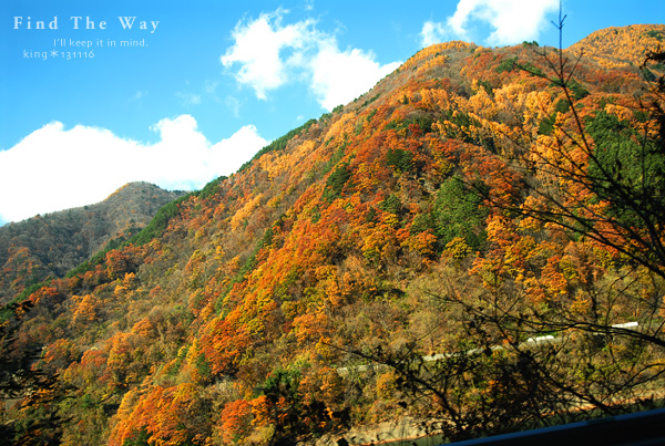 【wanこ】高山オフ 2013 vol.2 ～ 国道158号から安房峠道路へ_f0054594_212192.jpg