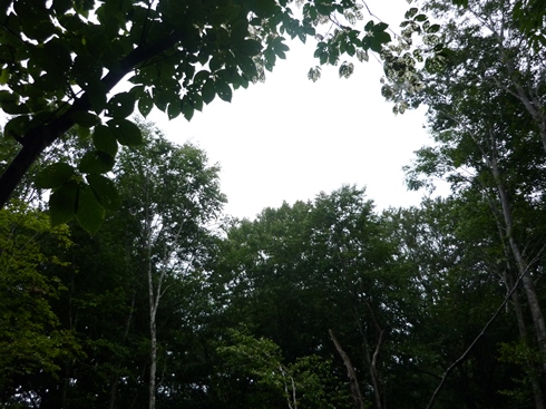 f0227395_163426.jpg