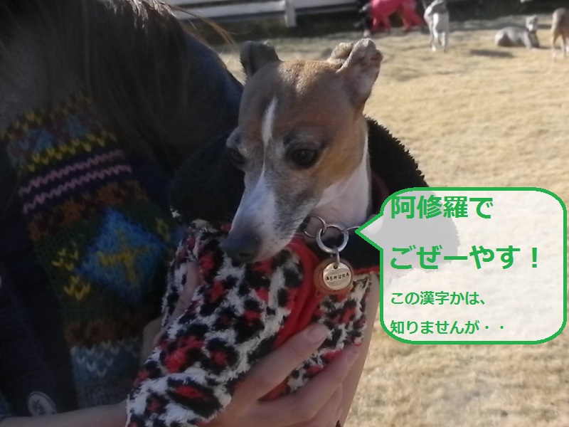 a0284997_19030307.jpg