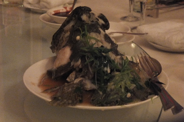 d0080998_0361479.jpg