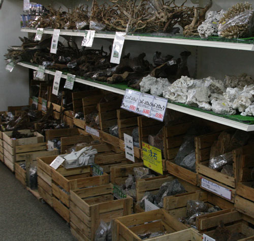 c0165800_2364044.jpg