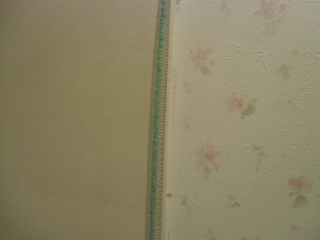 a0167204_19465781.jpg