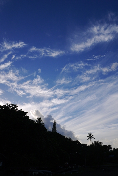 d0133704_15152797.jpg