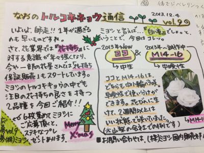 なおのトルコギキョウ通信_d0099708_1258954.jpg