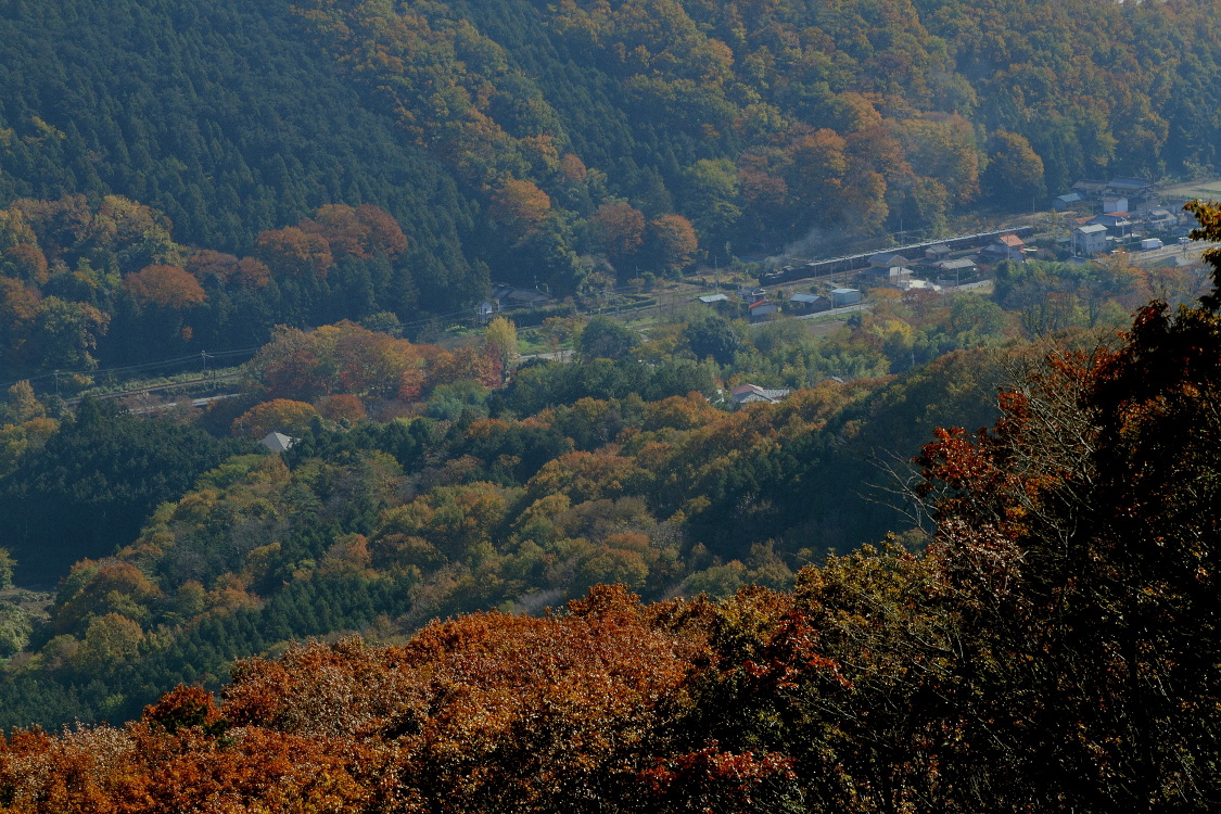 彩りに囲まれた駅を発車する汽車 - 2013年紅葉の秩父 - _b0190710_22451183.jpg