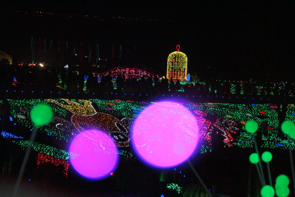 c0186410_17214192.jpg