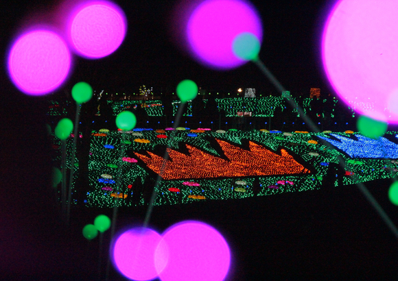 c0186410_17214555.jpg