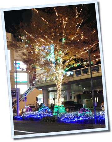 c0133013_21324450.jpg