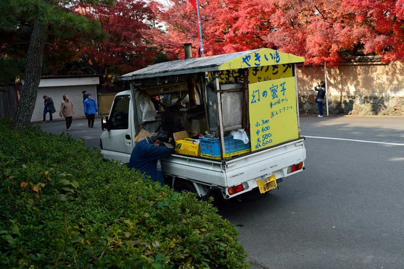 京都散策_f0202613_10583181.jpg