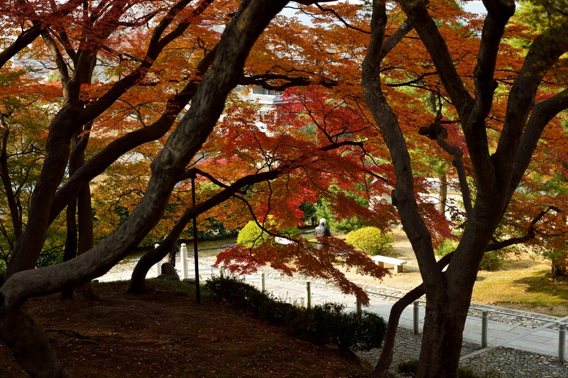 京都散策_f0202613_11131640.jpg