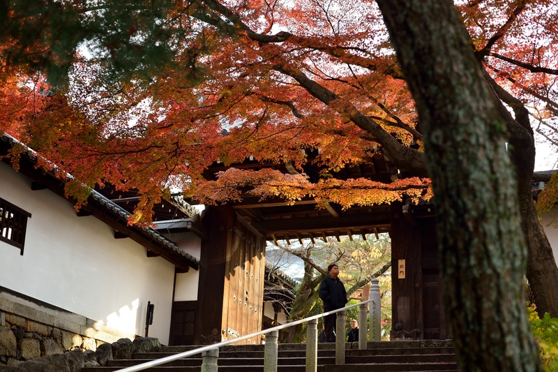 京都散策_f0202613_11142338.jpg