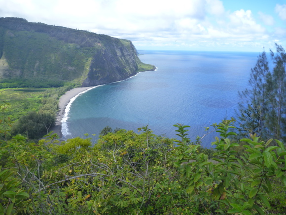 2013/9Big Islandでの夏休み(17)　ワイピオ渓谷　WAIPIO LOOKOUT_e0256814_11471898.jpg