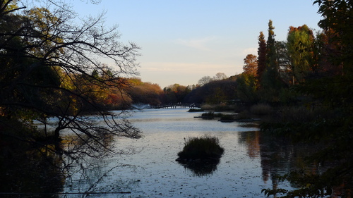 井の頭公園の夕暮れ_b0074416_19535175.jpg