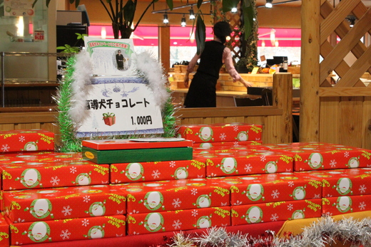 盲導犬Xmasチョコレート_d0063218_10123180.jpg