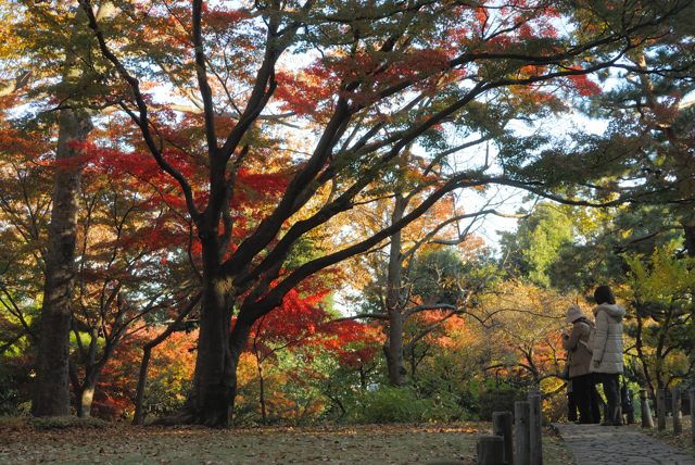 市内紅葉めぐり　その３_c0047919_11205389.jpg