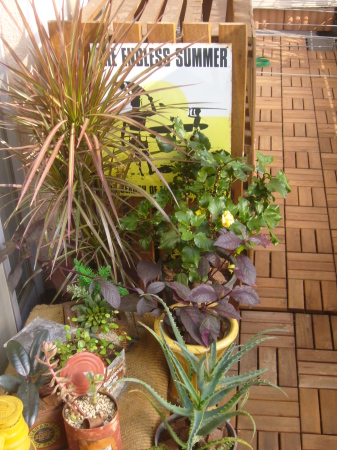 c0213920_13242327.jpg