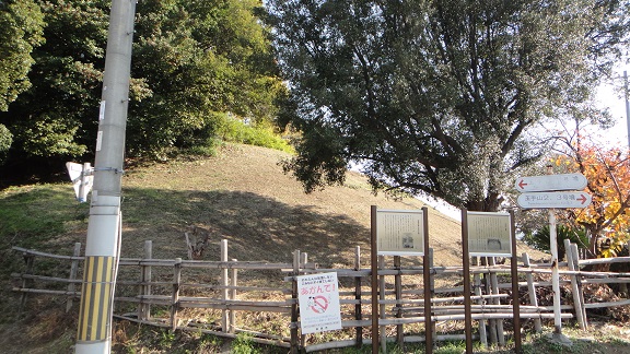 f0000521_20401223.jpg