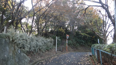 f0000521_2041631.jpg