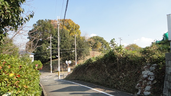 f0000521_20522175.jpg