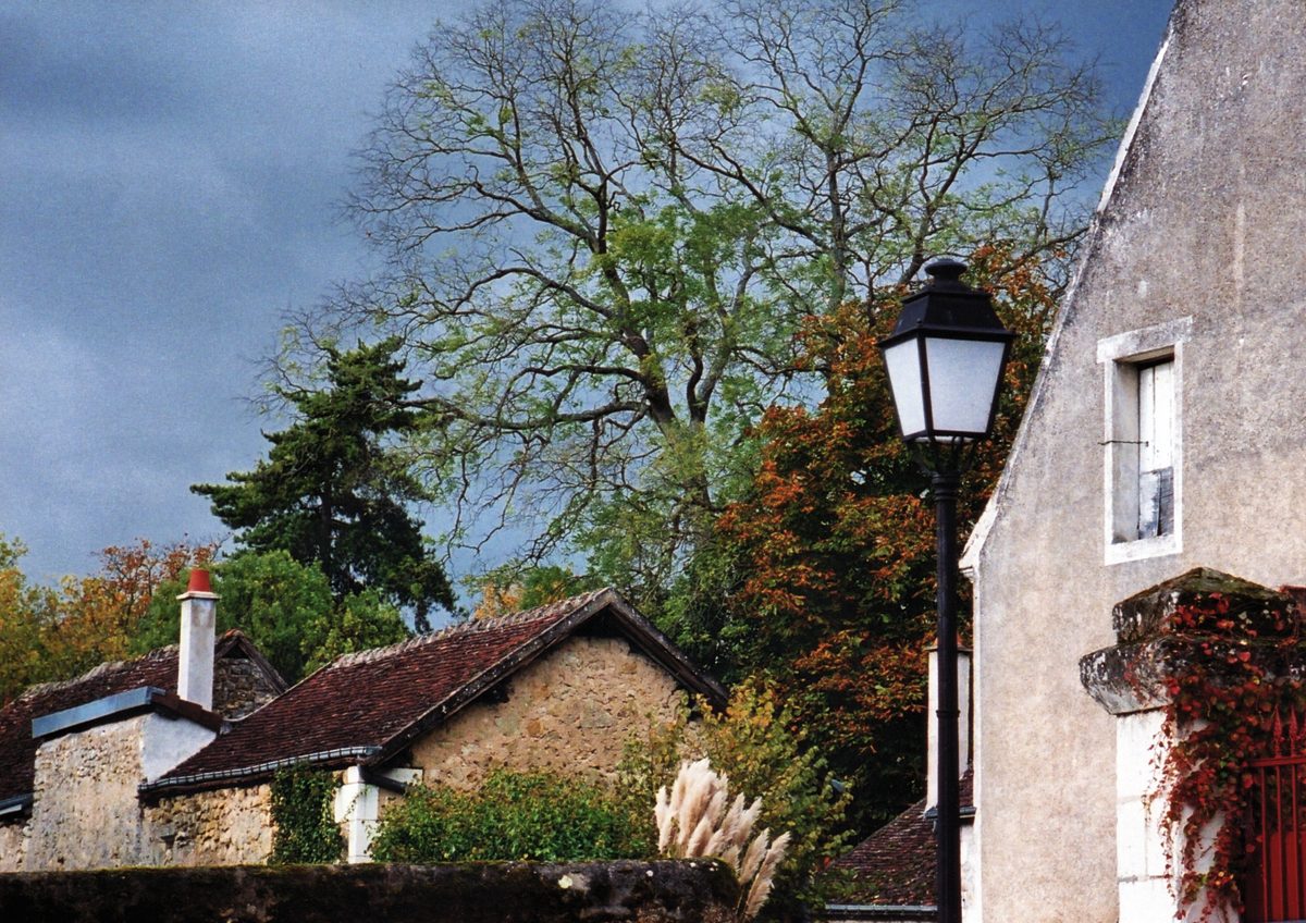 c0220824_172022100.jpg