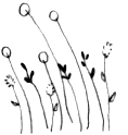 a0281133_2024623.gif