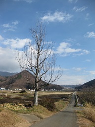 b0116933_2110244.jpg