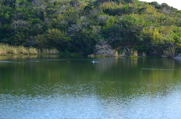 b0288942_2229533.jpg