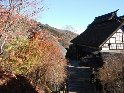 c0201143_084132.jpg