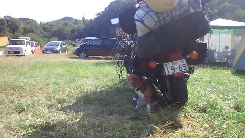 f0046250_133728.jpg
