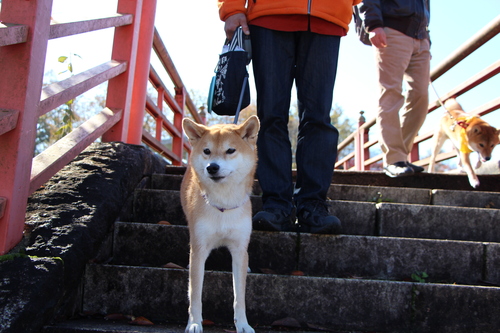 f0245650_811919.jpg