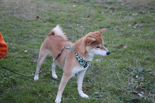 f0245650_8124293.jpg