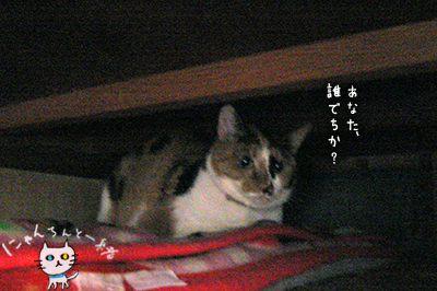 e0031853_172545.jpg