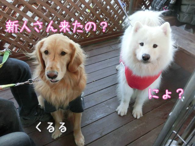 a0166954_22282621.jpg