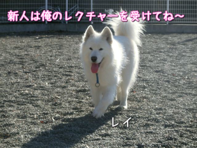 a0166954_22325357.jpg