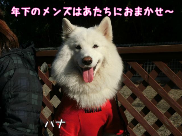 a0166954_22365587.jpg