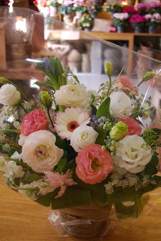 春のお花が入荷しだしました。_a0201358_20265530.jpg