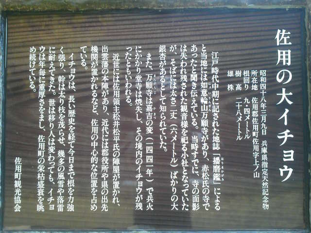 c0214359_22225638.jpg