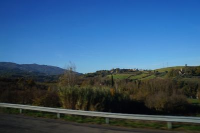 d0224362_7295610.jpg