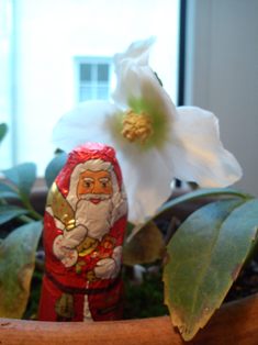 St.Nikolaus 2013_e0116763_23491212.jpg