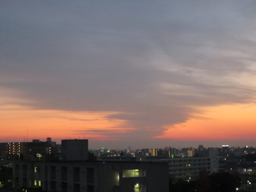 f0256164_10452023.jpg