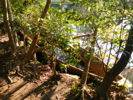 b0056570_22122163.jpg