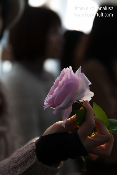 Rose Farm KEIJIさんへ_c0137872_0435877.jpg