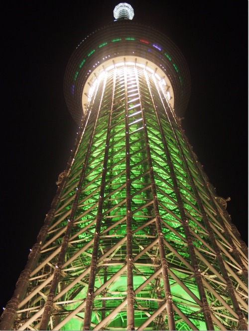 e0330372_82492.jpg