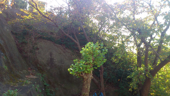 f0193076_12124834.jpg